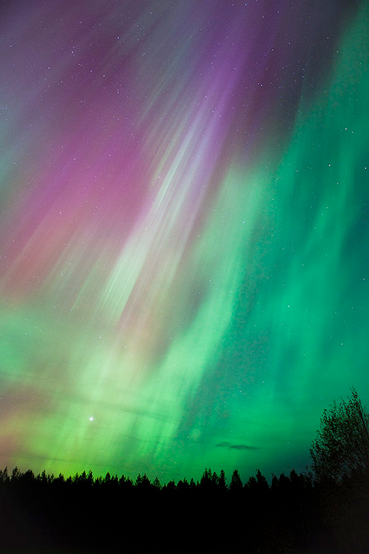© Mika Puurula - Aurora boreale del 2011 in Finlandia