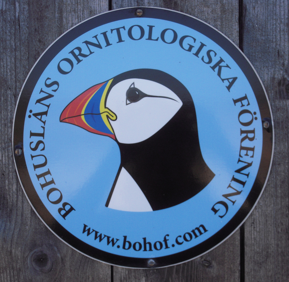 Ramsvik - Associazione ornitologica